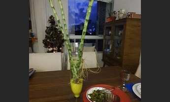 Imagem 4: APARTAMENTO RESIDENCIAL em FLORIANÓPOLIS - SC, INGLESES DO RIO VERMELHO