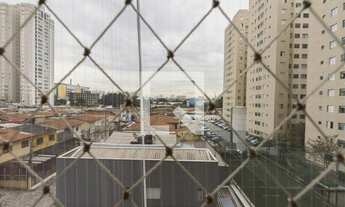 Imagem 5: Apartamento para Aluguel - Água Branca, 1 Quarto, 31 m2