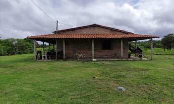 Imagem 2: Vendo excelente fazenda em aldeias-MA