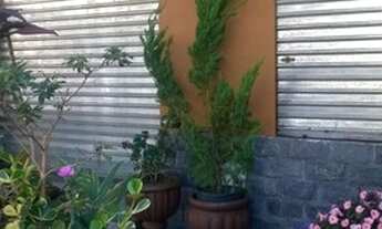 Imagem: Loja Sem Fiador, no ponto principal da Rua