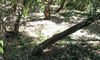 Imagem 5: VENDO CHÁCARA 5000M² EM CORREGO 7 (LER DESCRIÇÃO ANÚNCIO