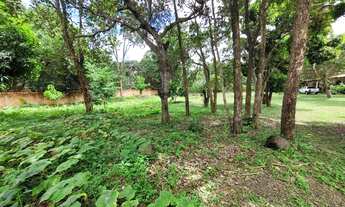 Imagem 3: SF - Chácara próxima a BR 343 a venda