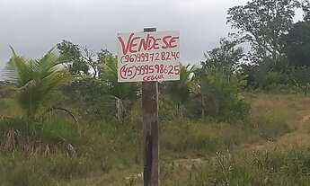 Imagem: Fazenda/sitio 200 hectares Pracuuba-AP