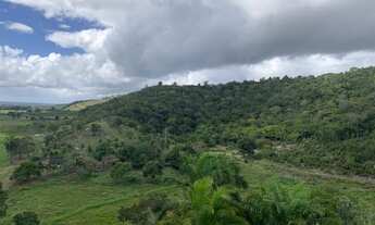 Imagem 6: VENDO FAZENDA EM ALEGRE, ES