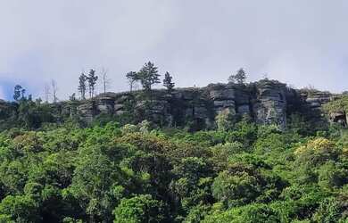 Imagem 2: Chácara à Venda próx. de Campo Largo - PR, Com Casa, Riacho, Energia, Vista Deslumbrante!