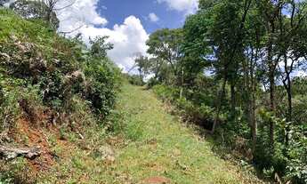 Imagem 6: Chacara de 20.000m em Rim manso c/ água nos fundos !!