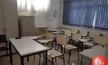 Imagem 7: São Paulo - Prédio Inteiro - Tatuapé