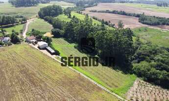 Imagem 2: Sítio com 7,5h, casa, galpão, açudes em Guaíba - Aceito troca por casa na praia