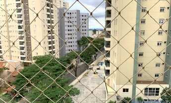 Imagem 7: APARTAMENTO - JARDIM AQUÁRIUS - SP
