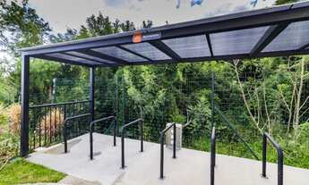 Imagem 4: Aluguel Jardim Carvalho / Direto com Proprietário