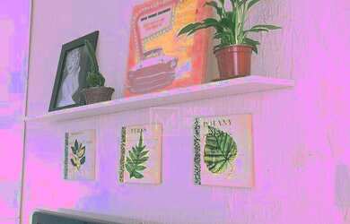 Imagem 8: Apartamento com 2 dormitórios, 65 m² - venda por R$ 320.000,00 ou aluguel por R$ 2.180,01