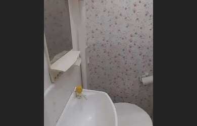 Imagem 5: Tijuca - apto Conjugado 1 quarto, cozinha pequena e banheiro R$ 600,00