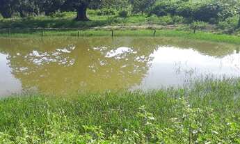 Imagem 5: Fazenda de 125 alqueires em Bom Jardim de Goias-Go