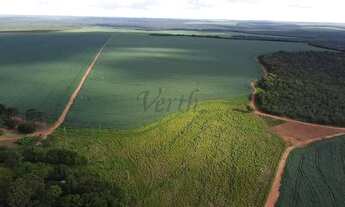 Imagem 2: Fazenda à venda, 1400ha, Nova Mutum, - MT