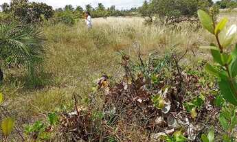 Imagem 7: Terreno próximo a Lagoa dos Tambaquis