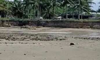 Imagem: Reserva Porangatu