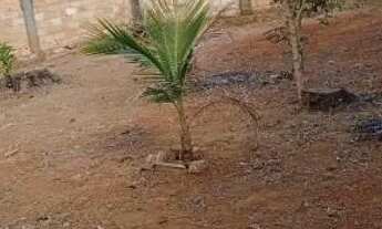 Imagem 14: Vendo Casa escriturada e registrada