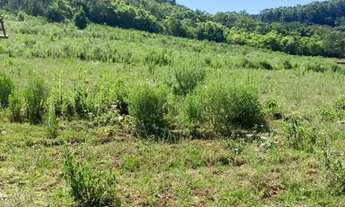 Imagem 4: Sitio - Bairro Linha Ávila