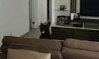 Imagem 3: Casa com 3 dormitórios à venda, 137 m² por R$ 839.000 - Jardim Sulacap - Rio de Janeiro/RJ