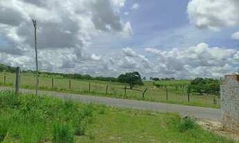 Imagem 4: Vende-se Tereno no Retiro - Coração de Maria