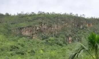 Imagem 2: Alqueire com muito mato à beira do rio das almas