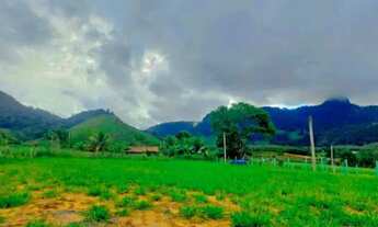 Imagem 2: Aceito carta de crédito- Lotes Comerciais em frente es 477,Amarelos, entroncamento leia
