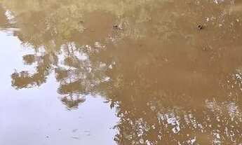 Imagem 5: Chácara Chácara com venda por R$85.000