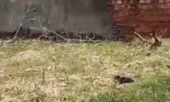 Imagem: Vende-se 2 casas terrenos do lado