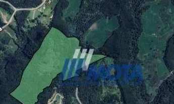 Imagem 2: Chácara à venda, com 7,7 alqueires ou seja 186700 m² por R$ 860.000 - Itaqui de Cima - Cam