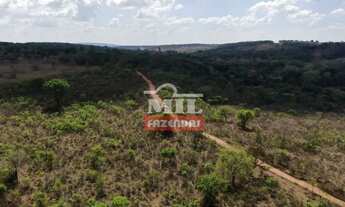 Imagem 5: Fazenda 17 Alqueires (82,28 hectares) Hidrolândia - GO