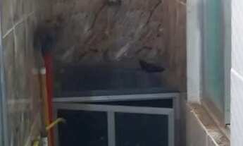 Imagem 4: BONFIM .Aluga apartamento 2 andar