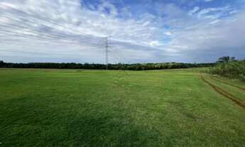 Imagem 3: Chácara à cenda na Área Rural de São Miguel do Iguaçu - Linha Barro Preto