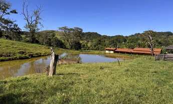 Imagem 7: Fazendinha 8 Alqueires Bela Vista