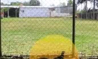 Imagem 7: Chácara à venda, São Cristóvão - São Cristóvão/SE