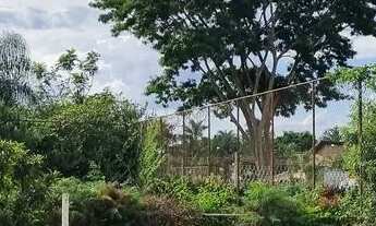 Imagem 6: Chácara em Guapiaçu Sp