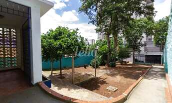 Imagem 2: Casa 3 quartos para alugar no(a) Vila Gumercindo