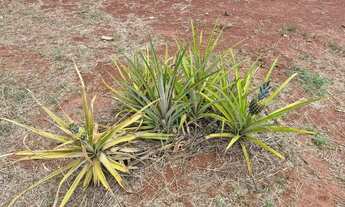 Imagem 5: Condomínio Chácaras Itália - Excelente Localização