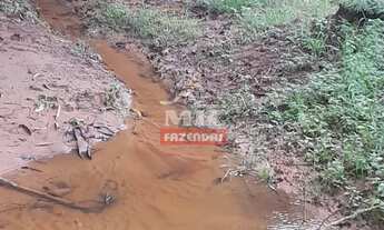 Imagem 6: Fazenda Em Paraúna/GO - 27 alqueires ( 130 hectares