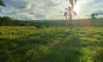 Imagem: Chácara de 1.000 metros em Campo Limpo