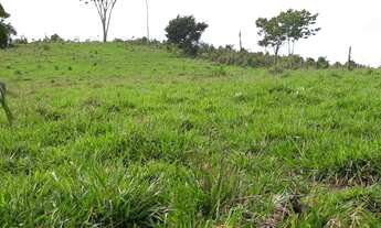 Imagem 6: Vendo 3 lotes de 100 hectares km 165 Norte