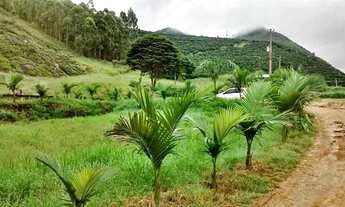 Imagem 4: Sítio lindo perto da BR 262