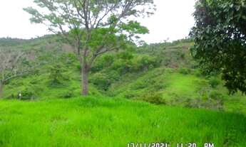 Imagem 6: 2166/Ótima fazenda de 260 ha em Além Paraíba MG