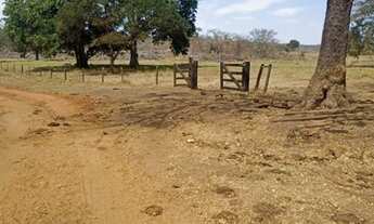 Imagem: Vende-se Fazenda Posto Gil (Terra de Cultura