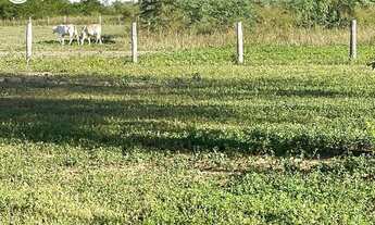 Imagem 3: FAZENDA Á VENDA EM CORUMBÁ - MS - 7.976,21 HECTARES - (PECUÁRIA