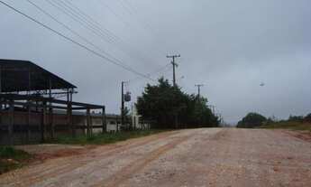 Imagem 6: TERRENO PLANO - 6.075,00 M2 -- São Dimas - Colombo/PR