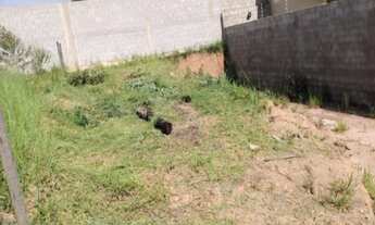 Imagem: TERRENOJarinu