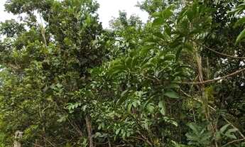 Imagem 7: Chácara de 58ha em Acorizal 360m Beira Rio Cuiabá (Estr. Acorizal - Baús