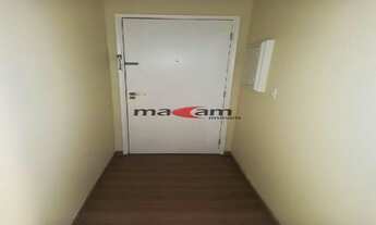 Imagem: Moema pássaros próximo a rouxinol