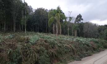 Imagem 2: TERRENO RESIDENCIAL em NOVA PETRÓPOLIS - RS, Piá