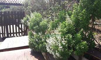 Imagem 3: Terreno à venda, 551 m² por R$ 400.000,00 - Quiririm - Taubaté/SP